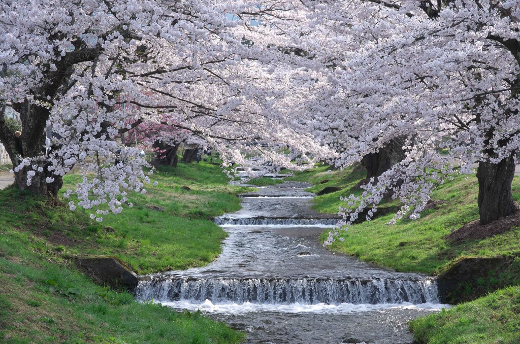 清涼な朝