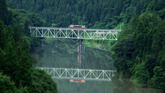 森を抜けて