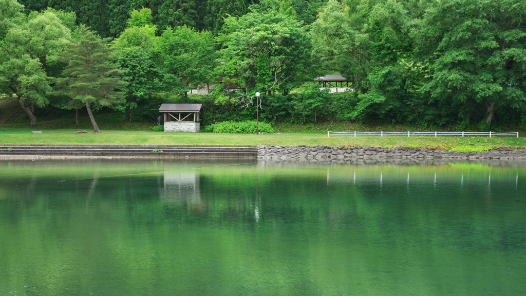 緑の癒し By シモフリ Id 7883547 写真共有サイト Photohito