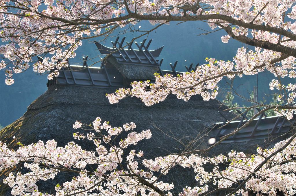 花の駅舎