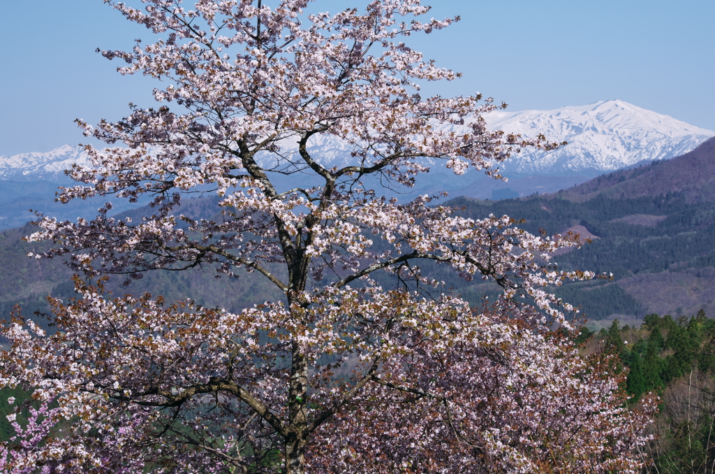 飯豊山春近し