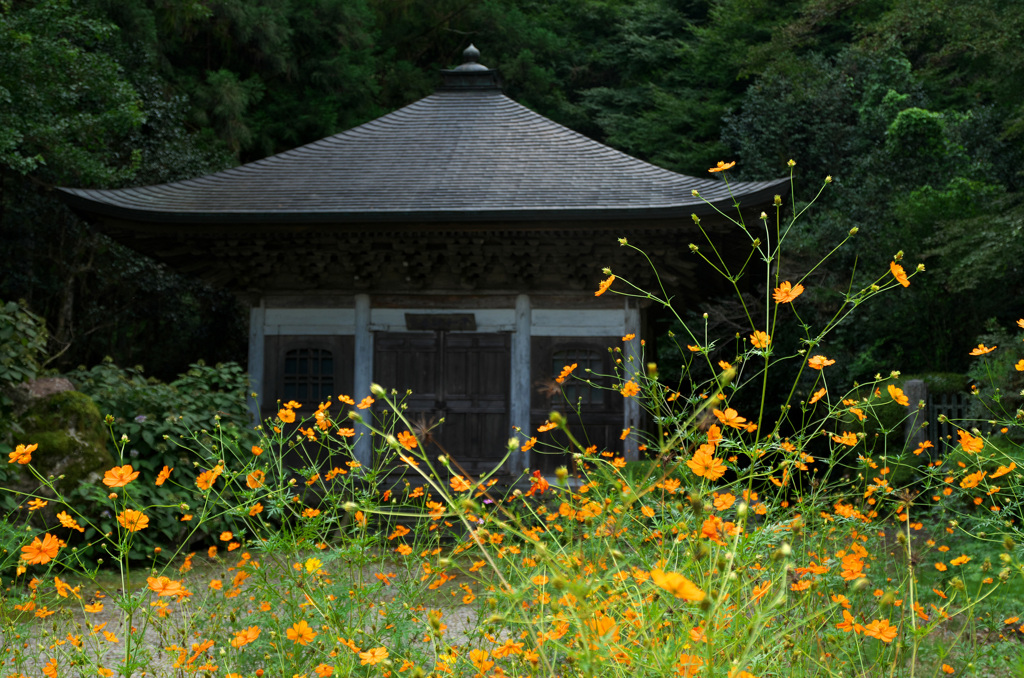 平和の願い