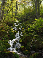 橅坂の清水