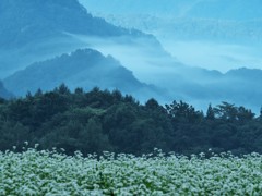 蒼の風が残る頃