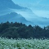 蒼の風が残る頃