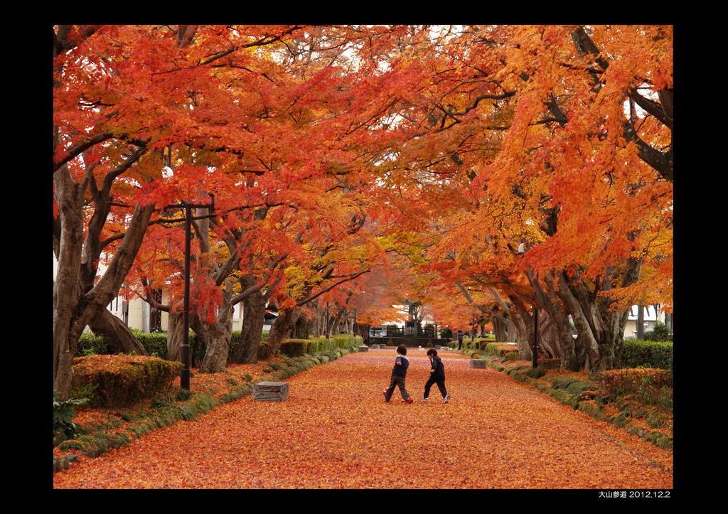 紅葉サッカー