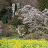 春はきぬ
