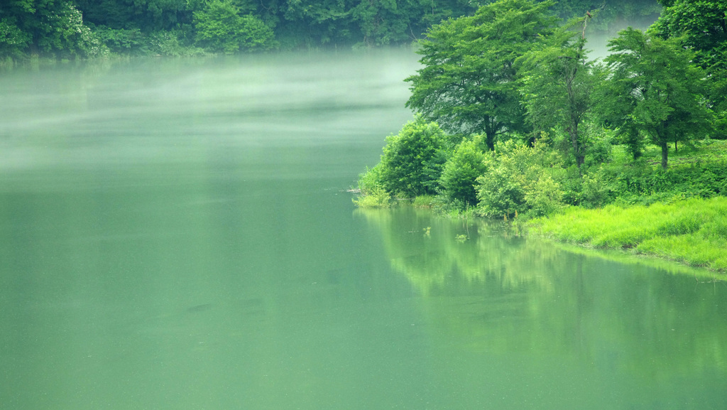 梅雨明けの声