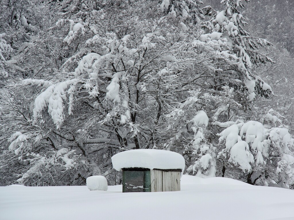 耐える