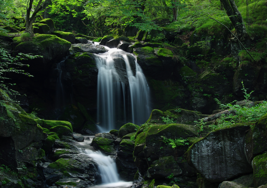 創造の滝：全景