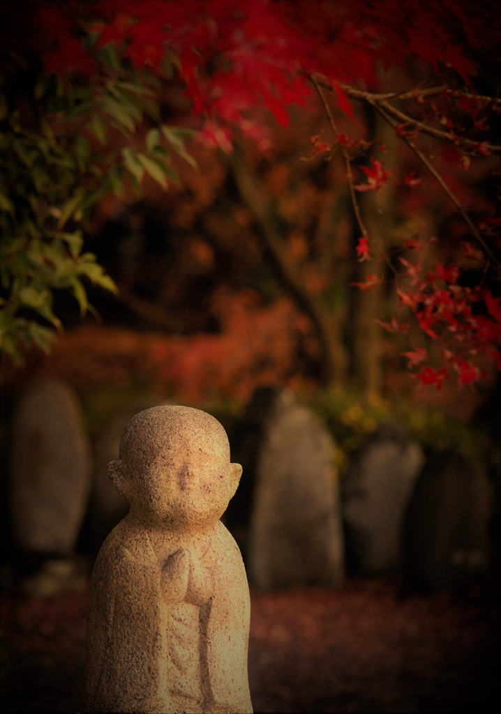 朝陽の出会い