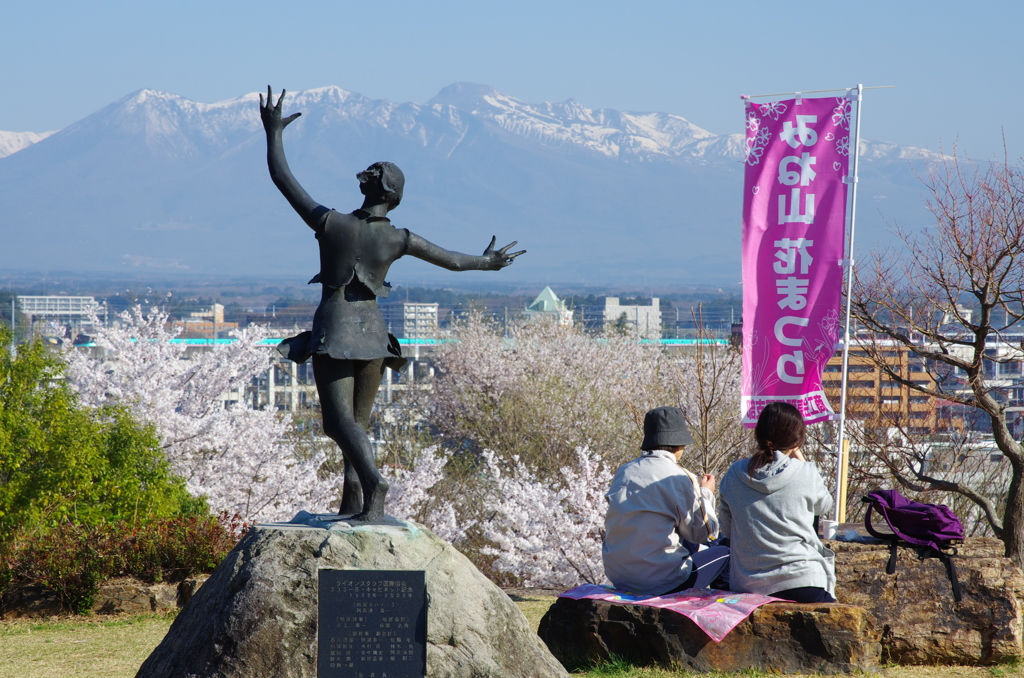 お花見