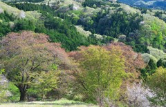 里山萌ゆる