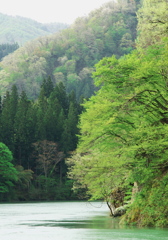 新緑の春霞