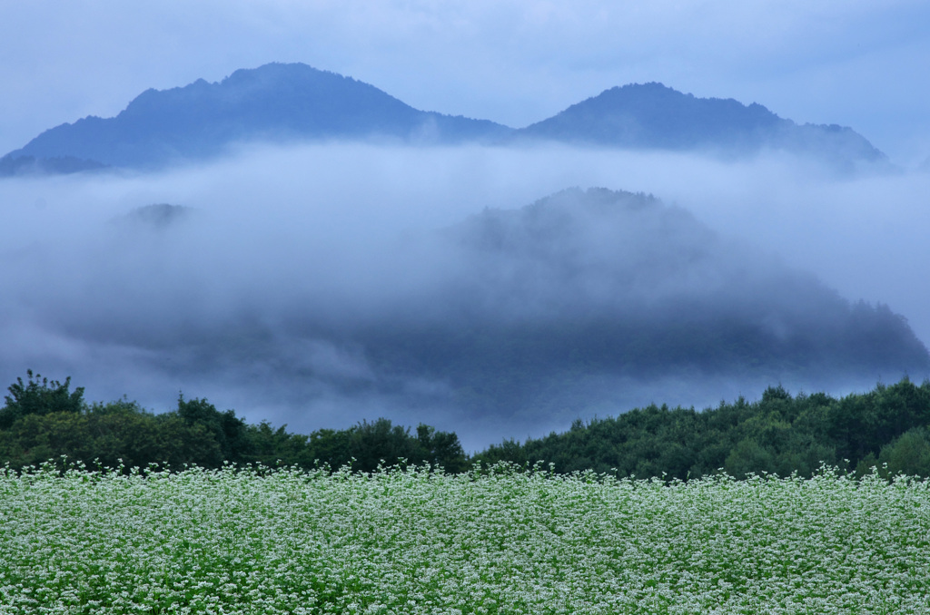龍宿る郷