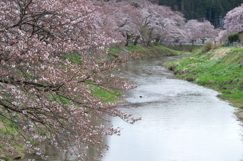 花曇りの町