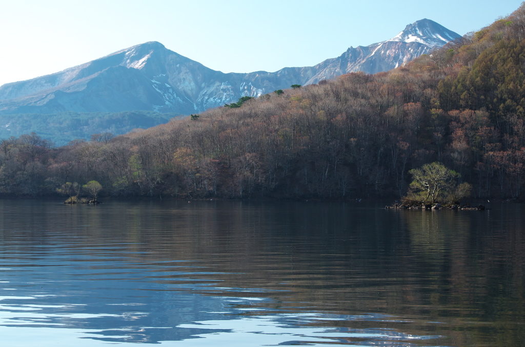 宝の山よ～