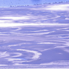 春の影
