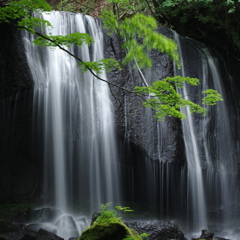 風立ちぬ