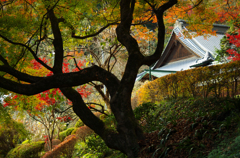 雲厳寺2