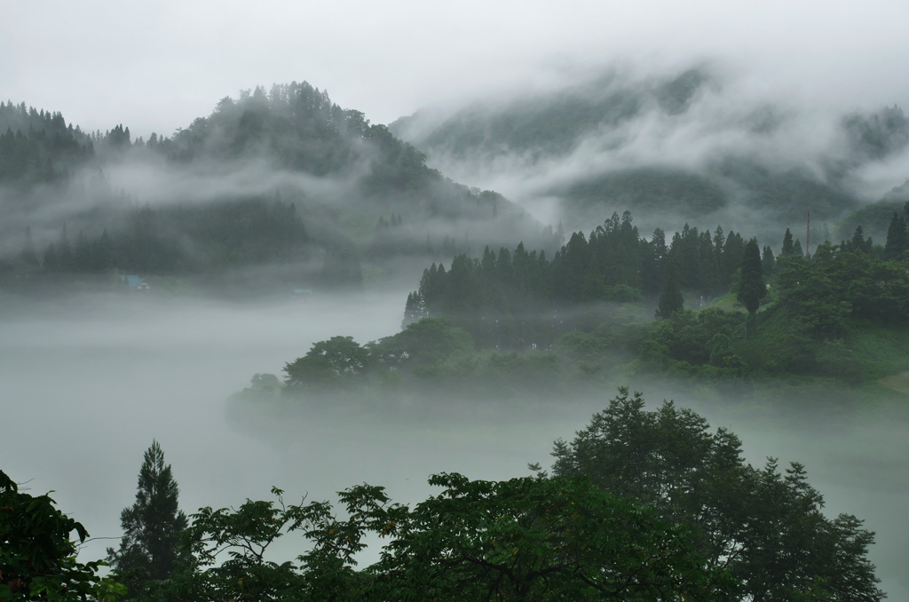 山霧湧き立つ