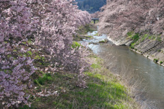 花の町