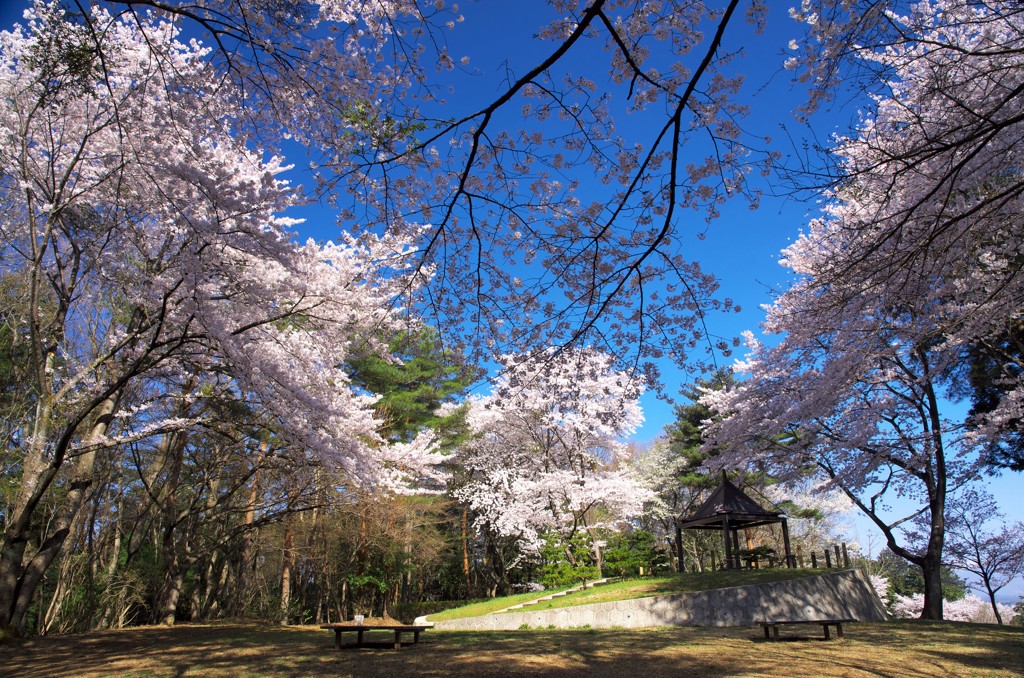 花の舞台