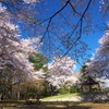 花の舞台