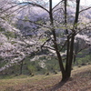 朝日につつまれて