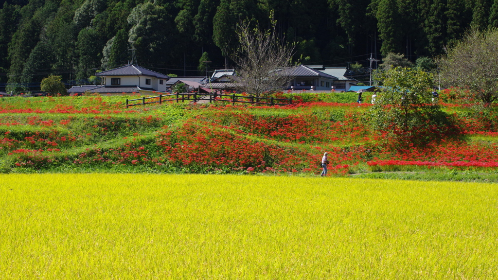 里の自慢