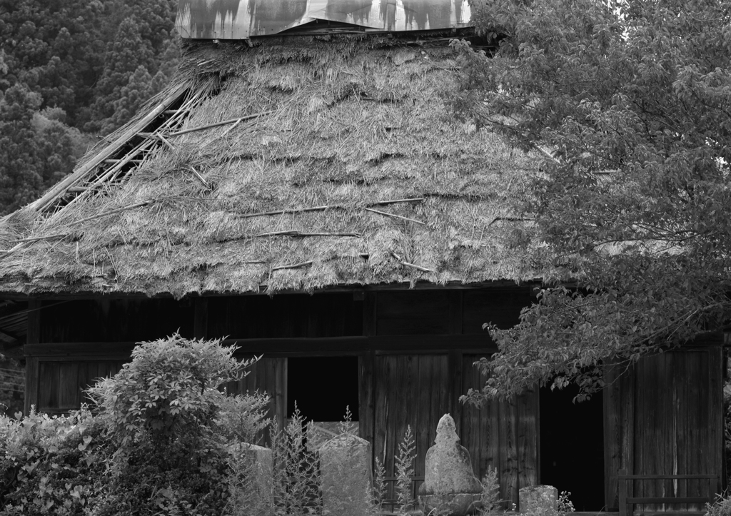 芭蕉の声