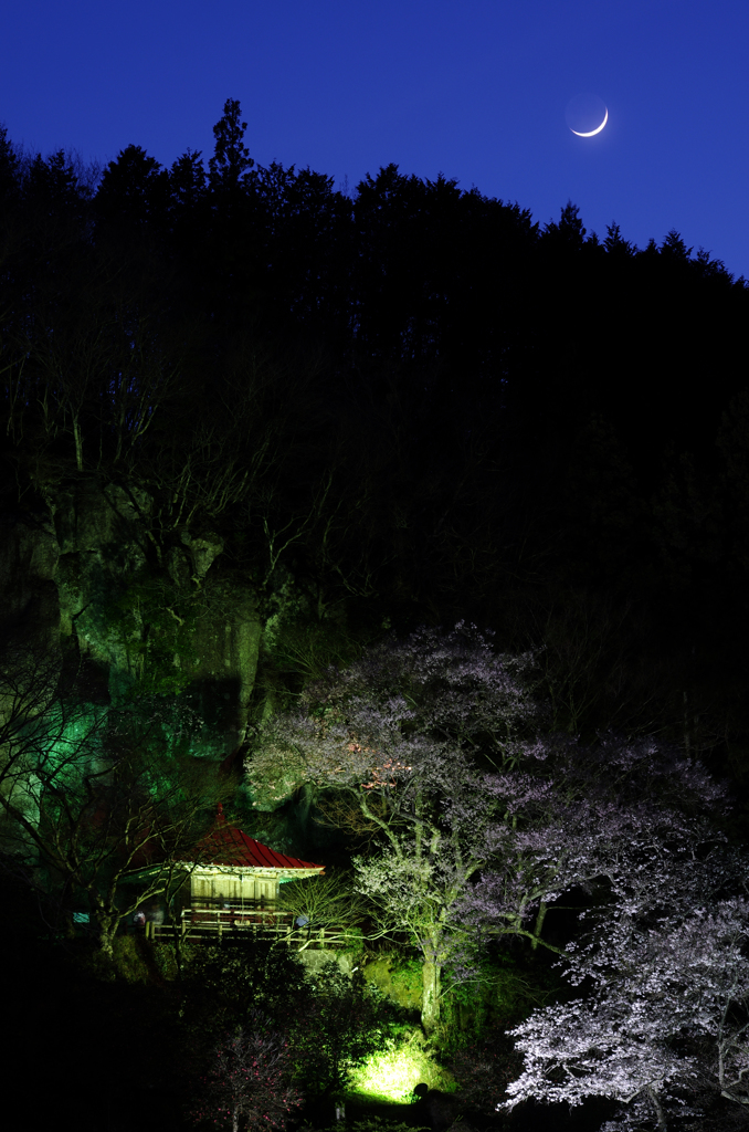 針のような月