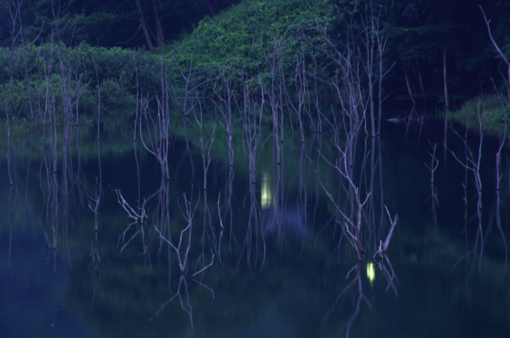 夜陰のもののけ