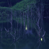 夜陰のもののけ