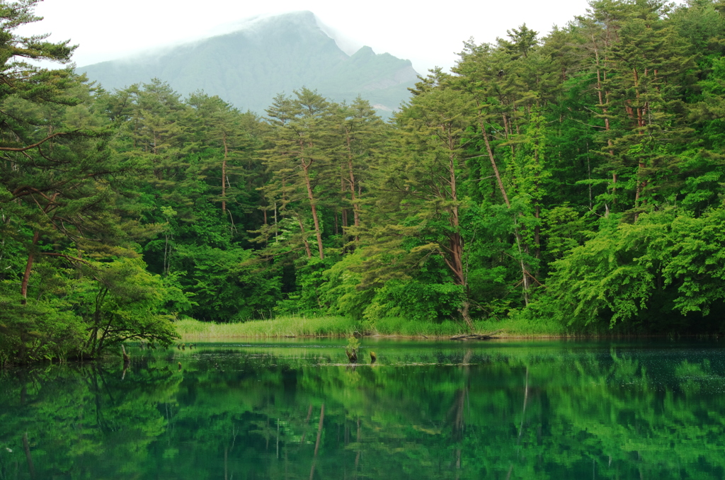 宝の山