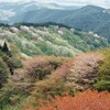 かすみゆく春
