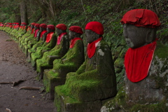 苔の衣