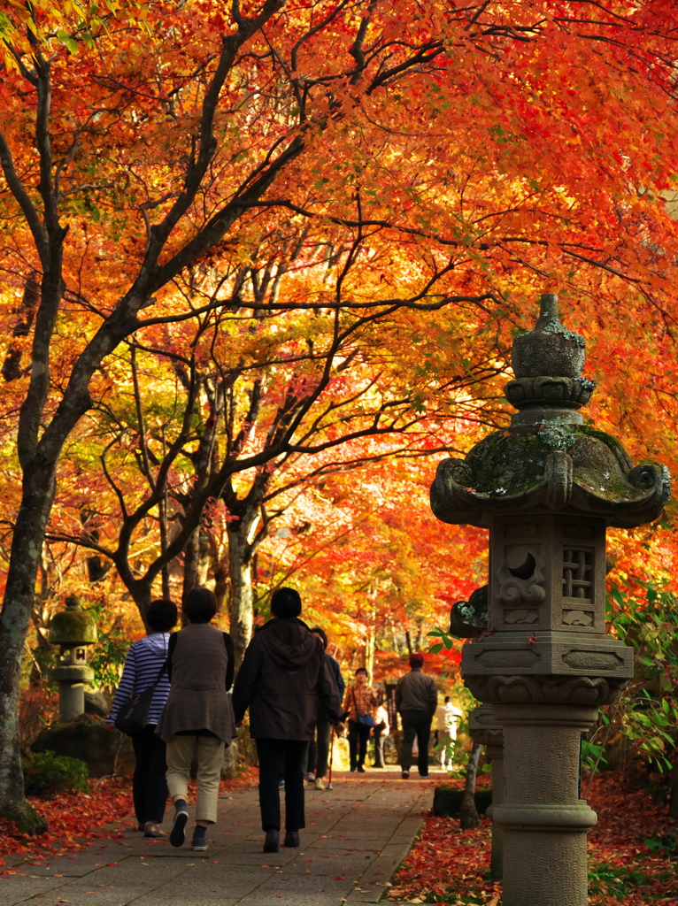 紅の参道