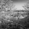 奥州街道：芦野宿
