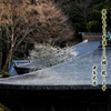 謹賀新年