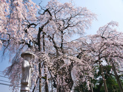 御仏の傍に