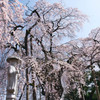 御仏の傍に