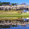 寝坊の朝は