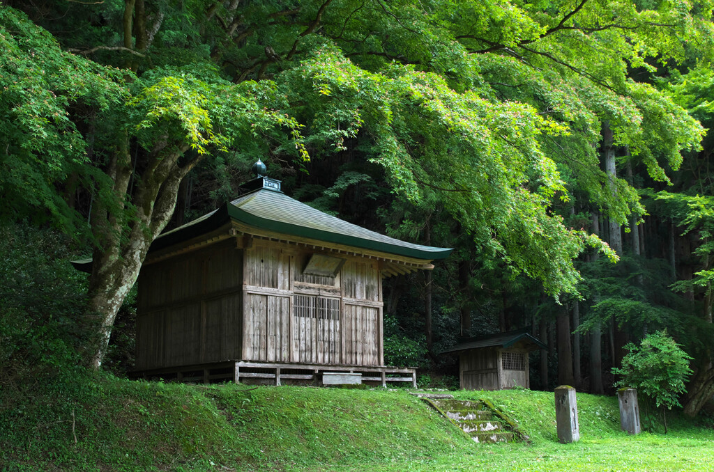 青葉のお堂