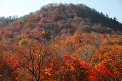 紅枯れの峠