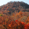 紅枯れの峠