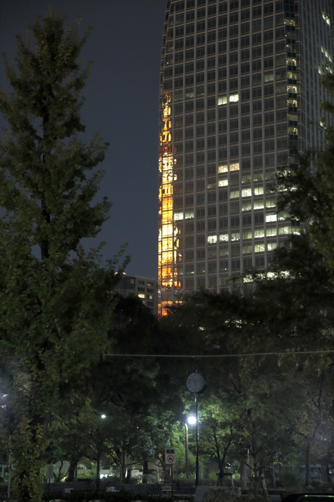 東京タワー_151122_01