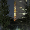 東京タワー_151122_01
