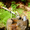 DSCF2268