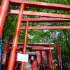DSCF2264